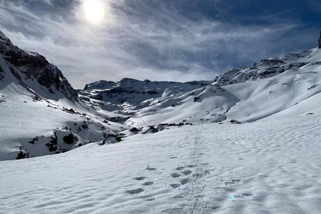 Studio Cabine Piau-Engaly Au Pied Des Pistes Aragnouet Eksteriør bilde